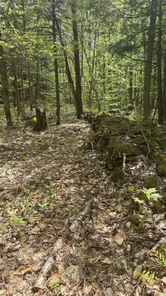 00 Potter Road Lowell VT 05847