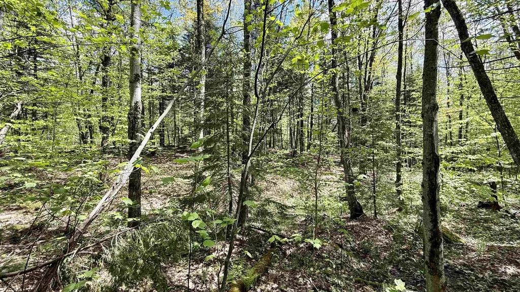 00 Potter Road Lowell VT 05847