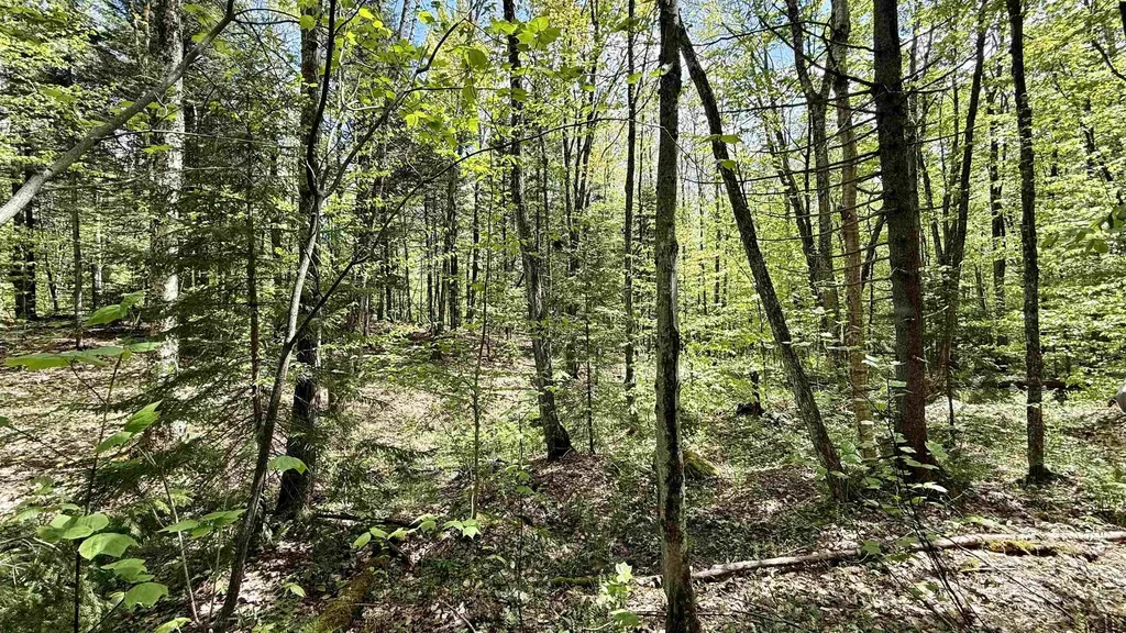 00 Potter Road Lowell VT 05847