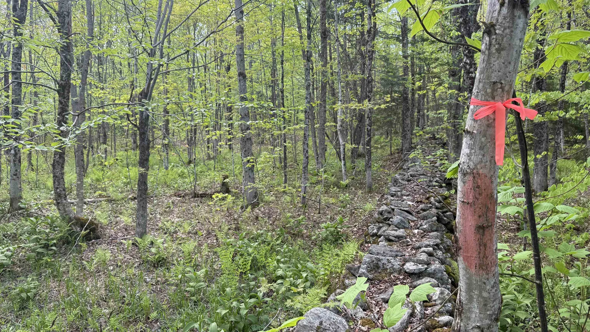 00 Potter Road Lowell VT 05847