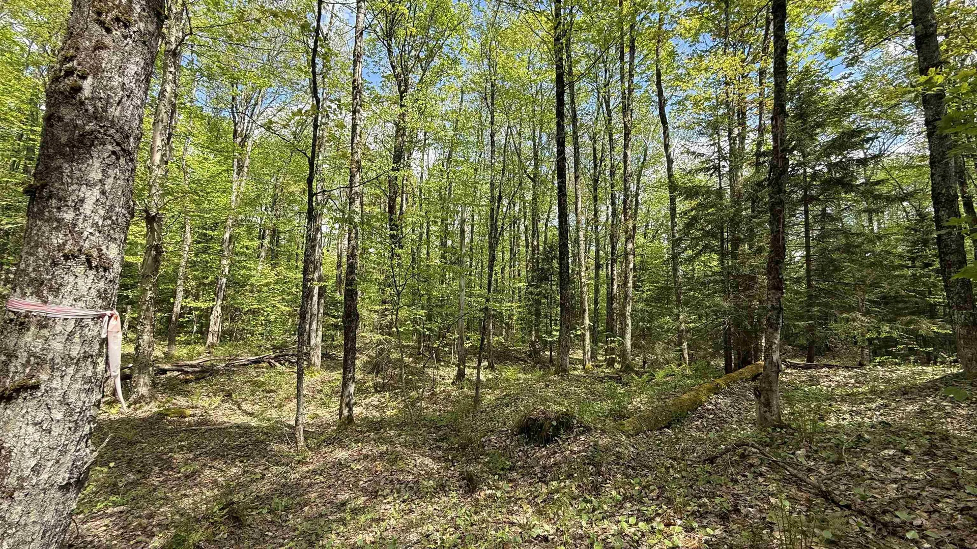 00 Potter Road Lowell VT 05847