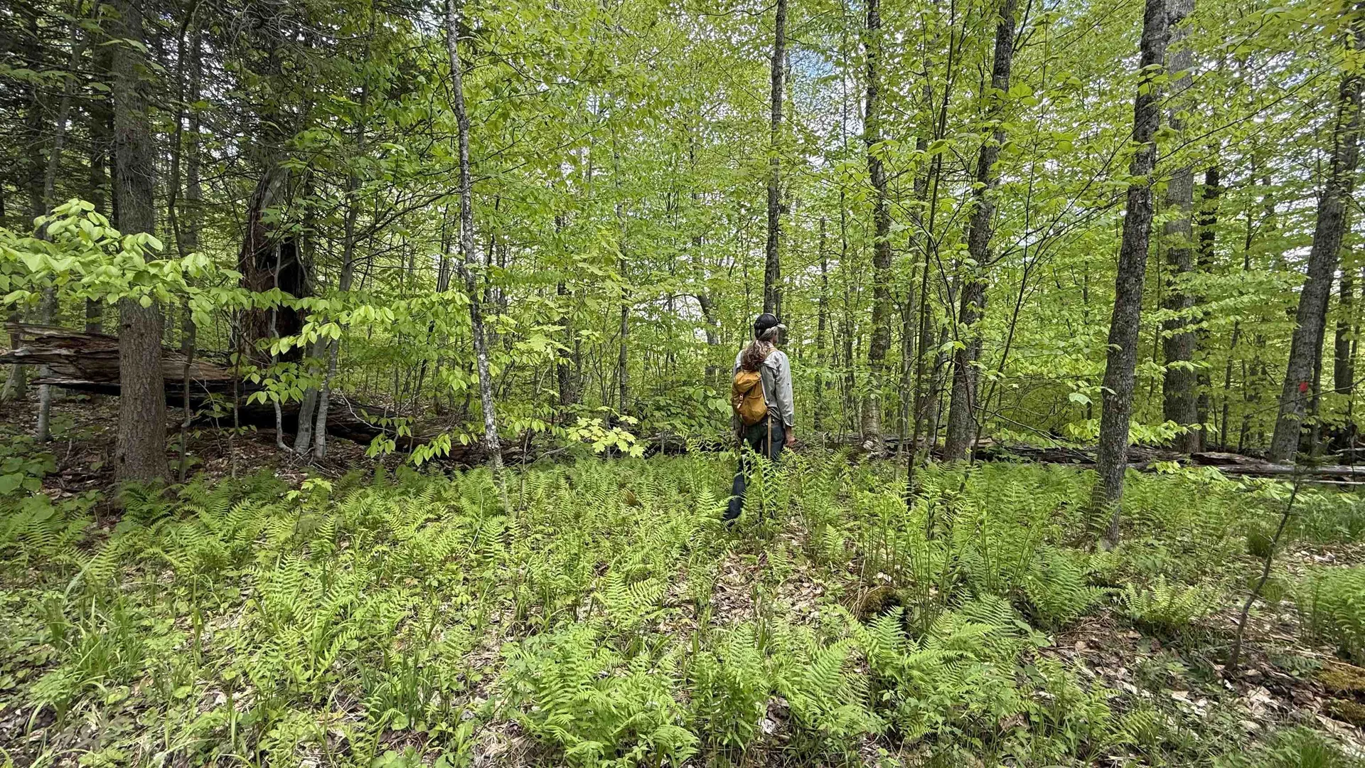 00 Potter Road Lowell VT 05847