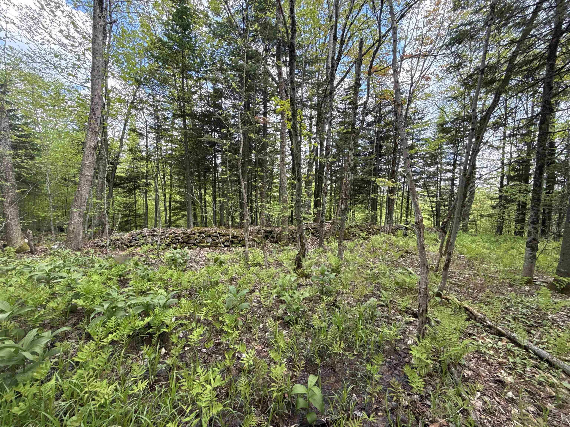 00 Potter Road Lowell VT 05847