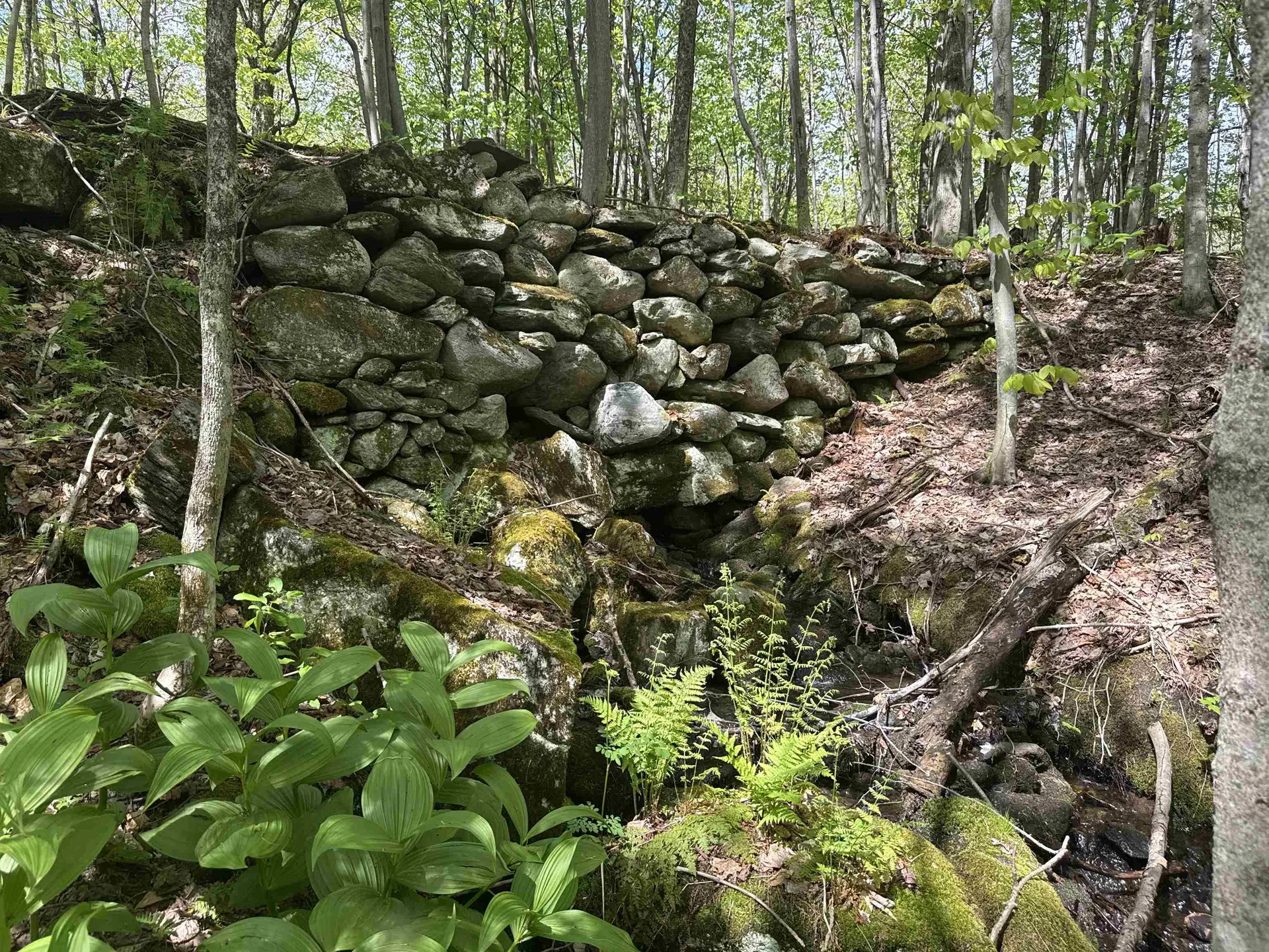 00 Potter Road Lowell VT 05847
