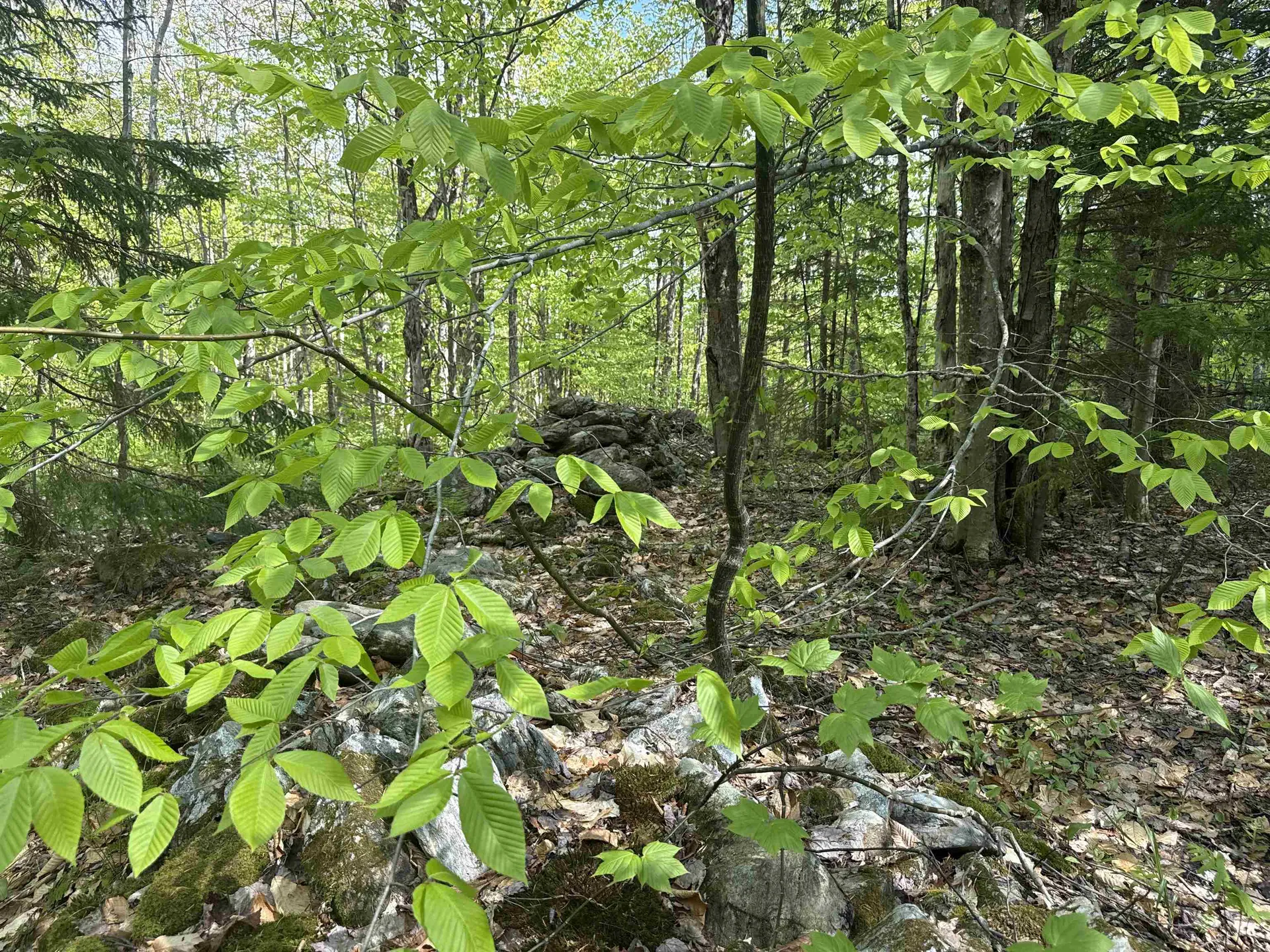 00 Potter Road Lowell VT 05847