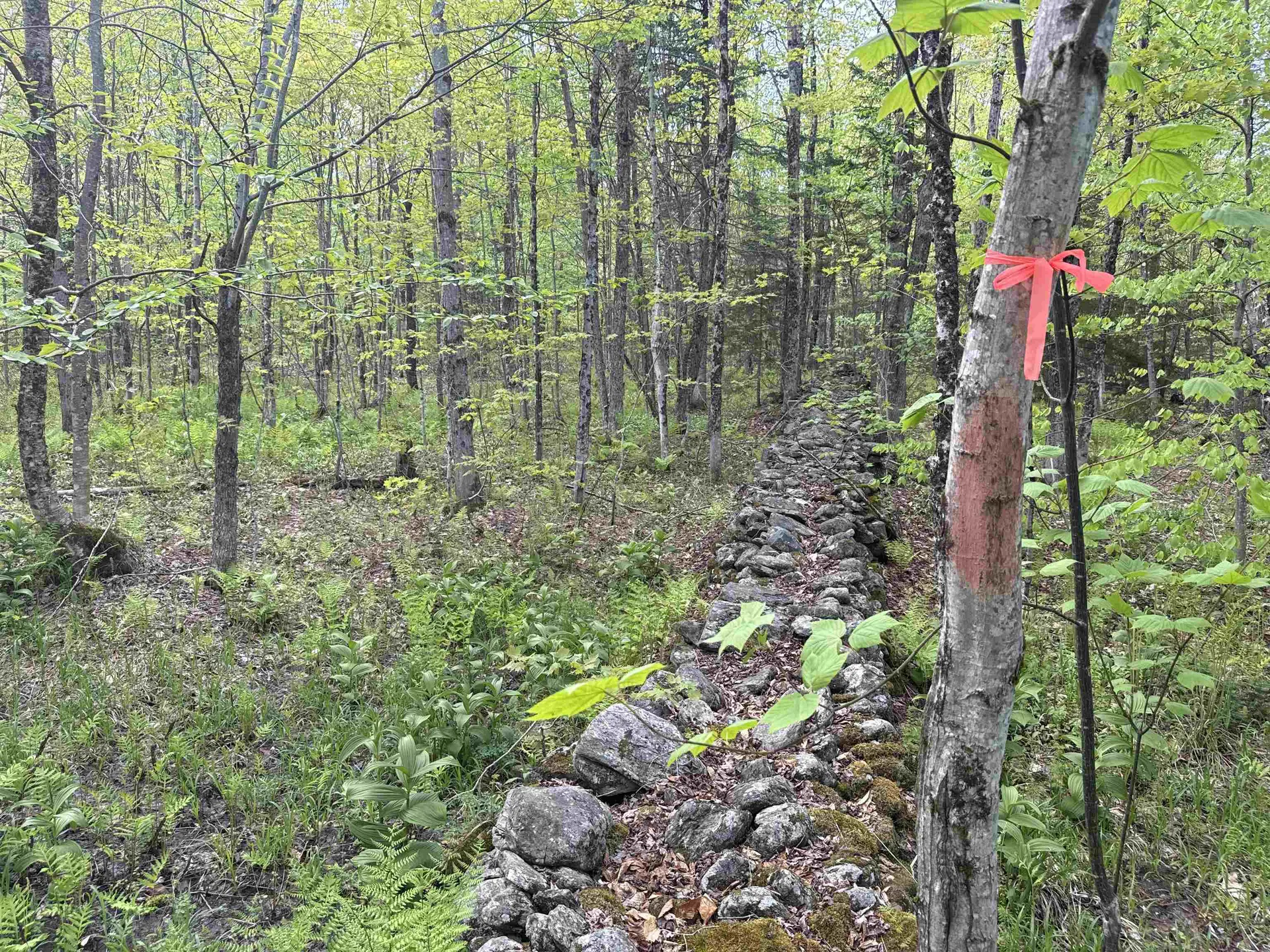 00 Potter Road Lowell VT 05847