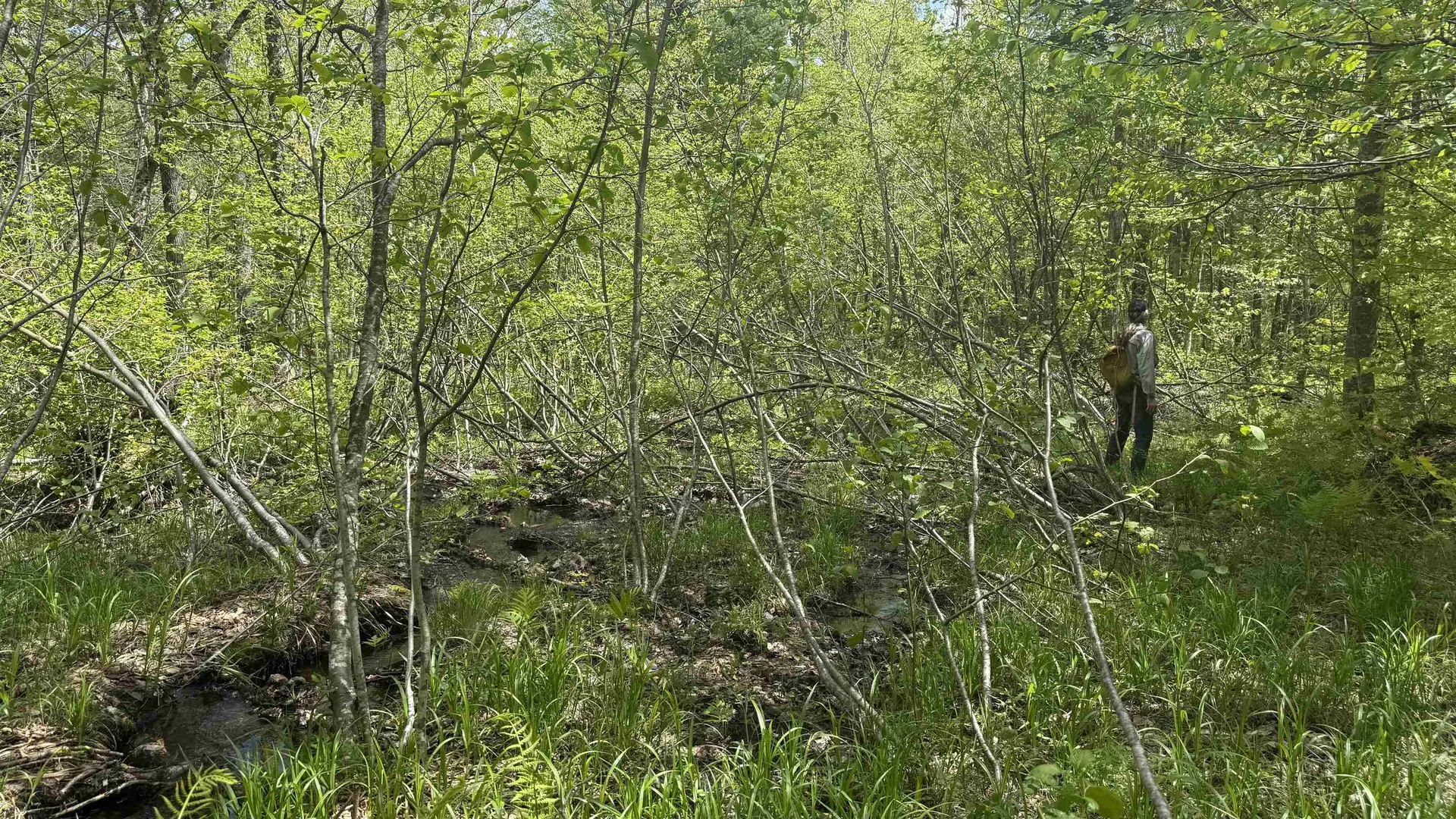 00 Potter Road Lowell VT 05847