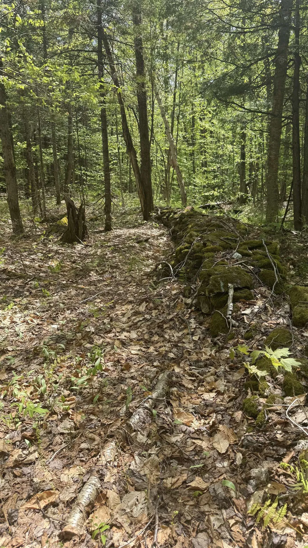 00 Potter Road Lowell VT 05847
