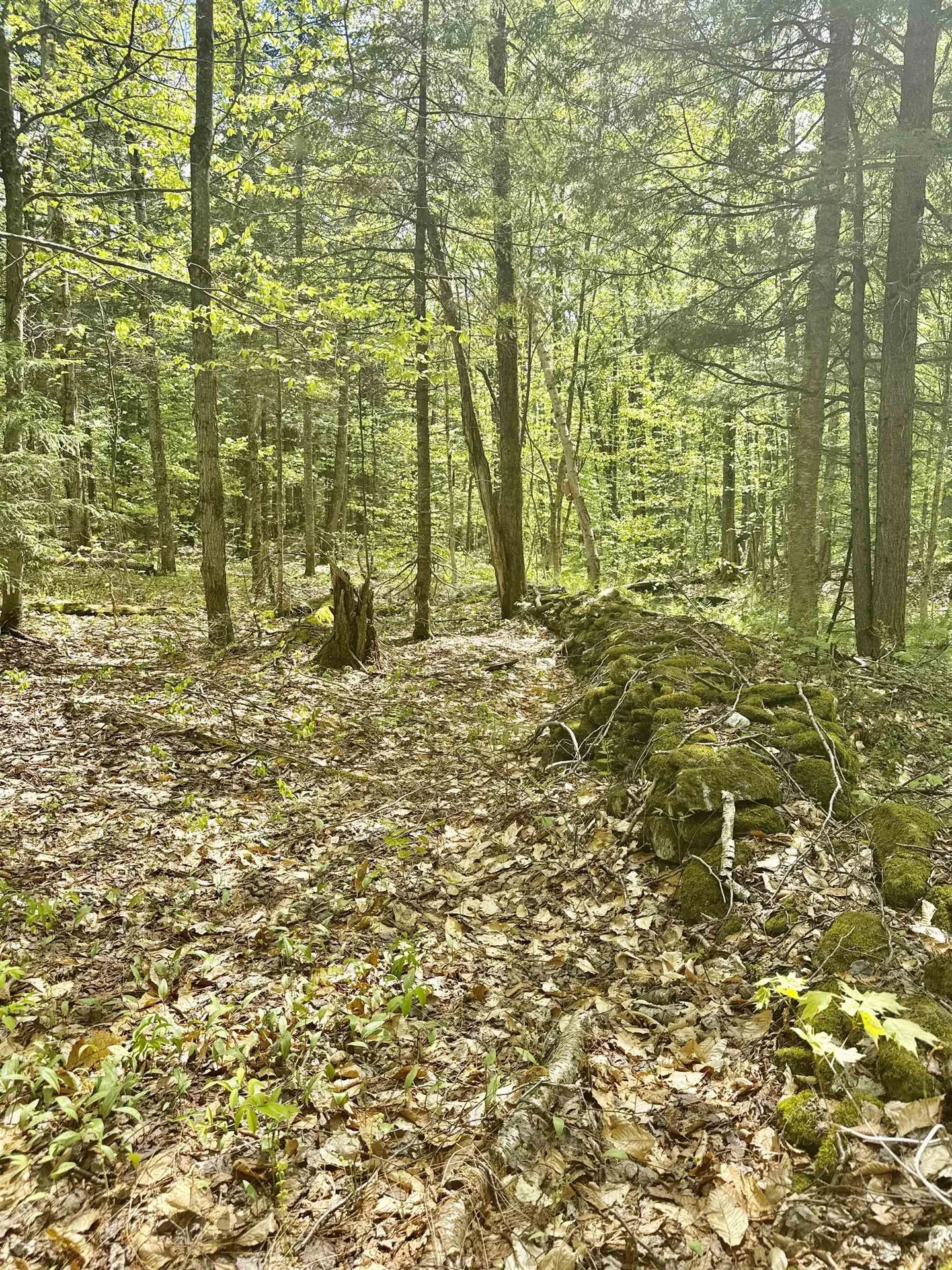 00 Potter Road Lowell VT 05847