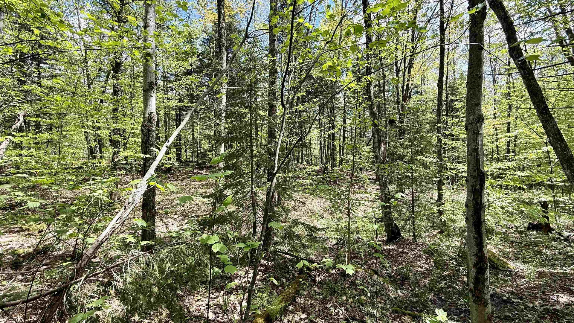 00 Potter Road Lowell VT 05847