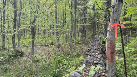 00 Potter Road Lowell VT 05847