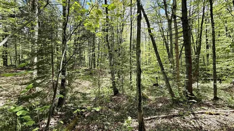00 Potter Road Lowell VT 05847