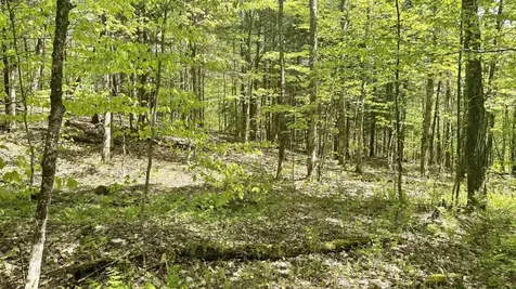 00 Potter Road Lowell VT 05847