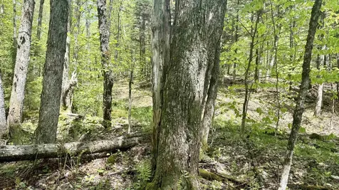 00 Potter Road Lowell VT 05847