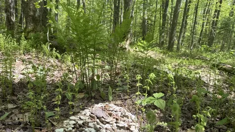 00 Potter Road Lowell VT 05847