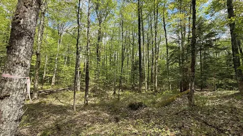 00 Potter Road Lowell VT 05847