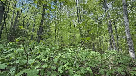 00 Potter Road Lowell VT 05847