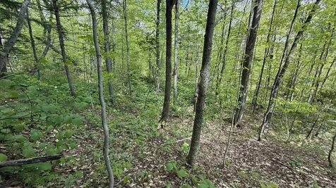 00 Potter Road Lowell VT 05847