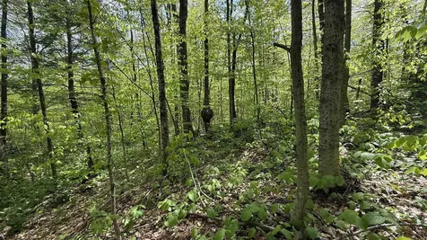 00 Potter Road Lowell VT 05847