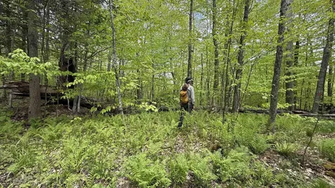 00 Potter Road Lowell VT 05847
