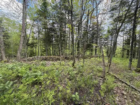 00 Potter Road Lowell VT 05847