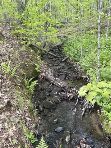 00 Potter Road Lowell VT 05847