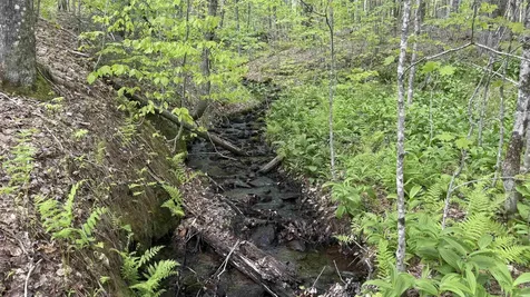 00 Potter Road Lowell VT 05847