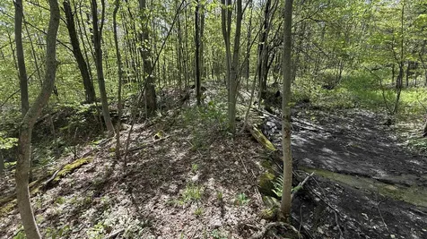 00 Potter Road Lowell VT 05847