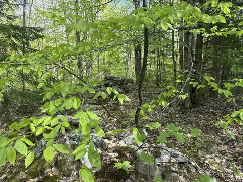 00 Potter Road Lowell VT 05847