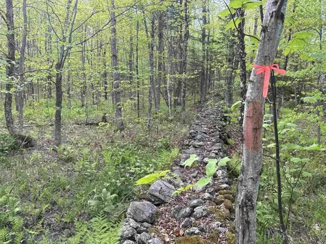 00 Potter Road Lowell VT 05847