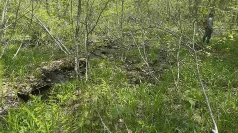 00 Potter Road Lowell VT 05847