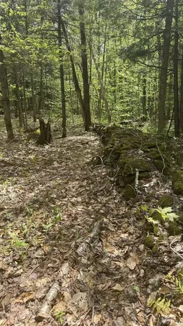 00 Potter Road Lowell VT 05847