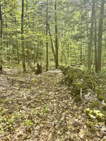 00 Potter Road Lowell VT 05847