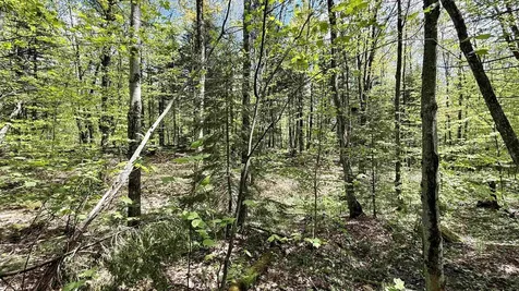 00 Potter Road Lowell VT 05847
