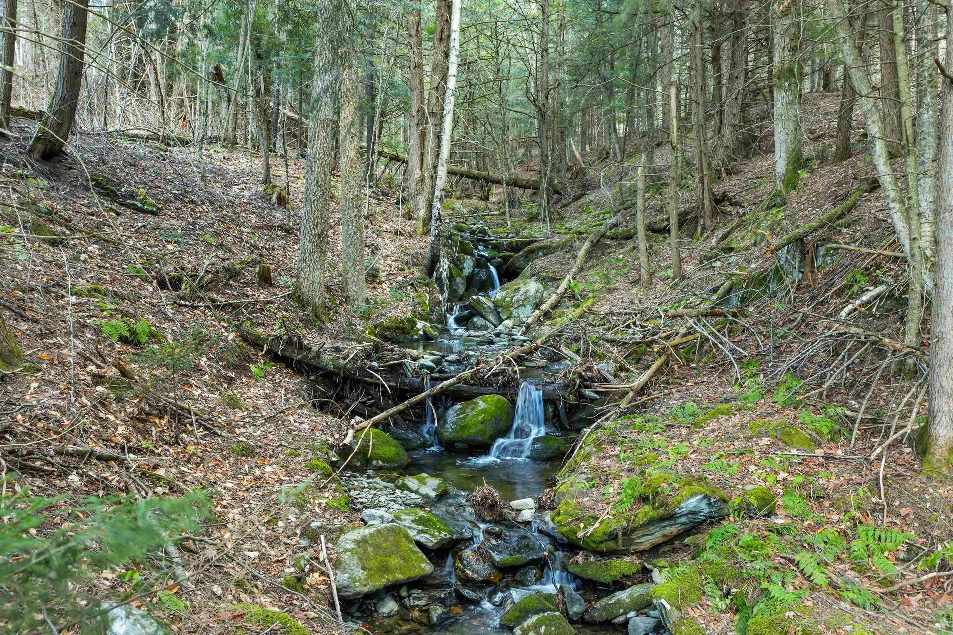 290 Wood Farm Road Waterbury VT 05677