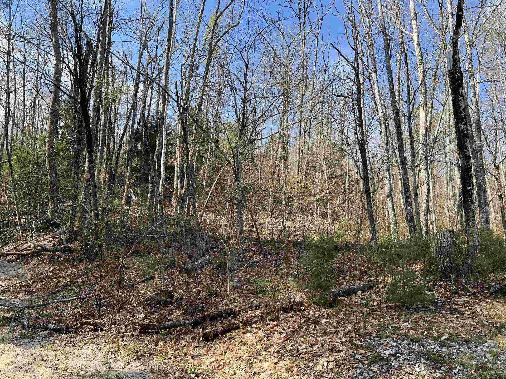 00 Brookside Street Conway NH 03818