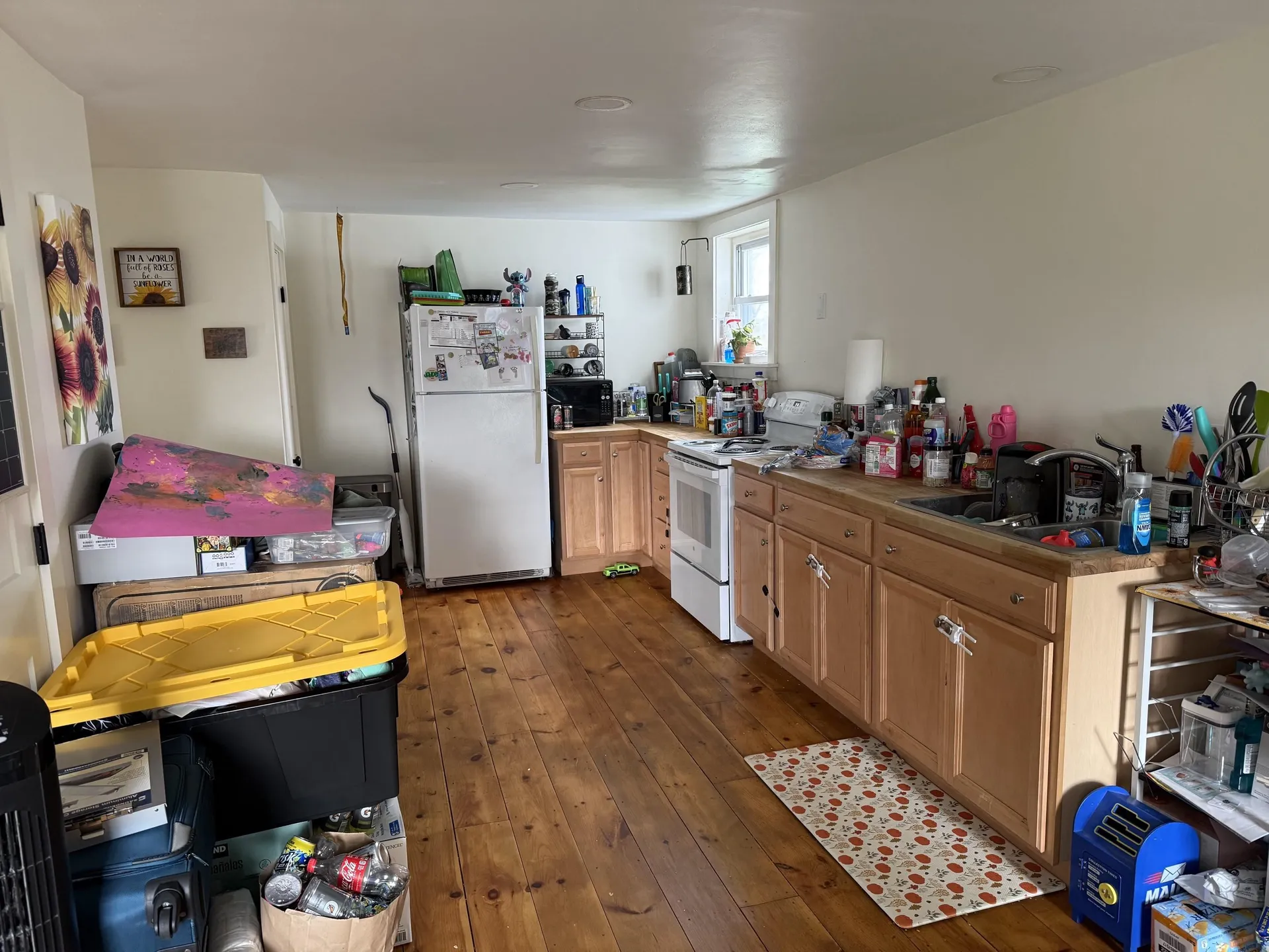 474 Dog Team Road New Haven VT 05456