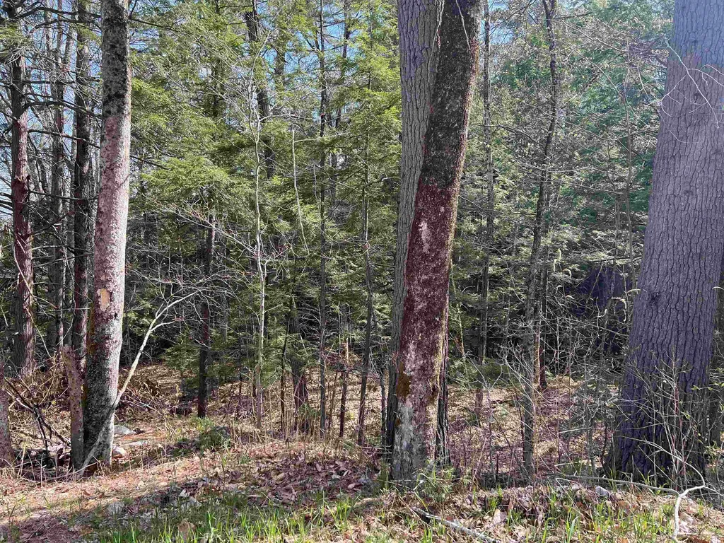 0 Brookside Street Conway NH 03818