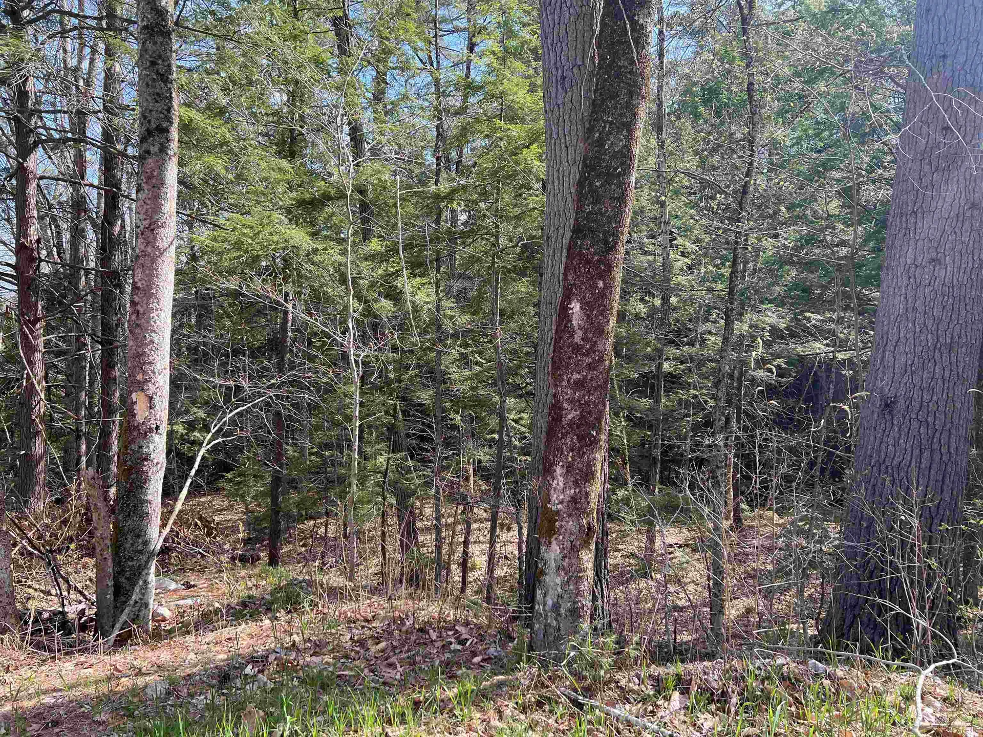 0 Brookside Street Conway NH 03818