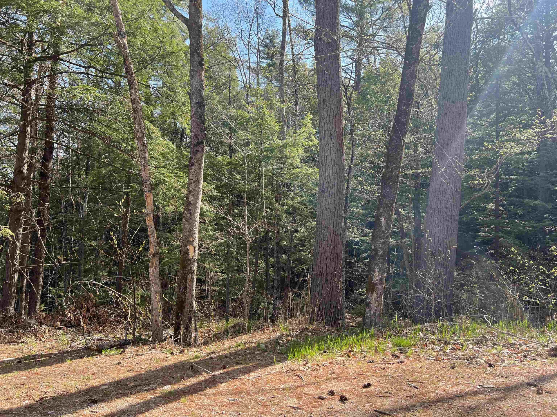 0 Brookside Street Conway NH 03818
