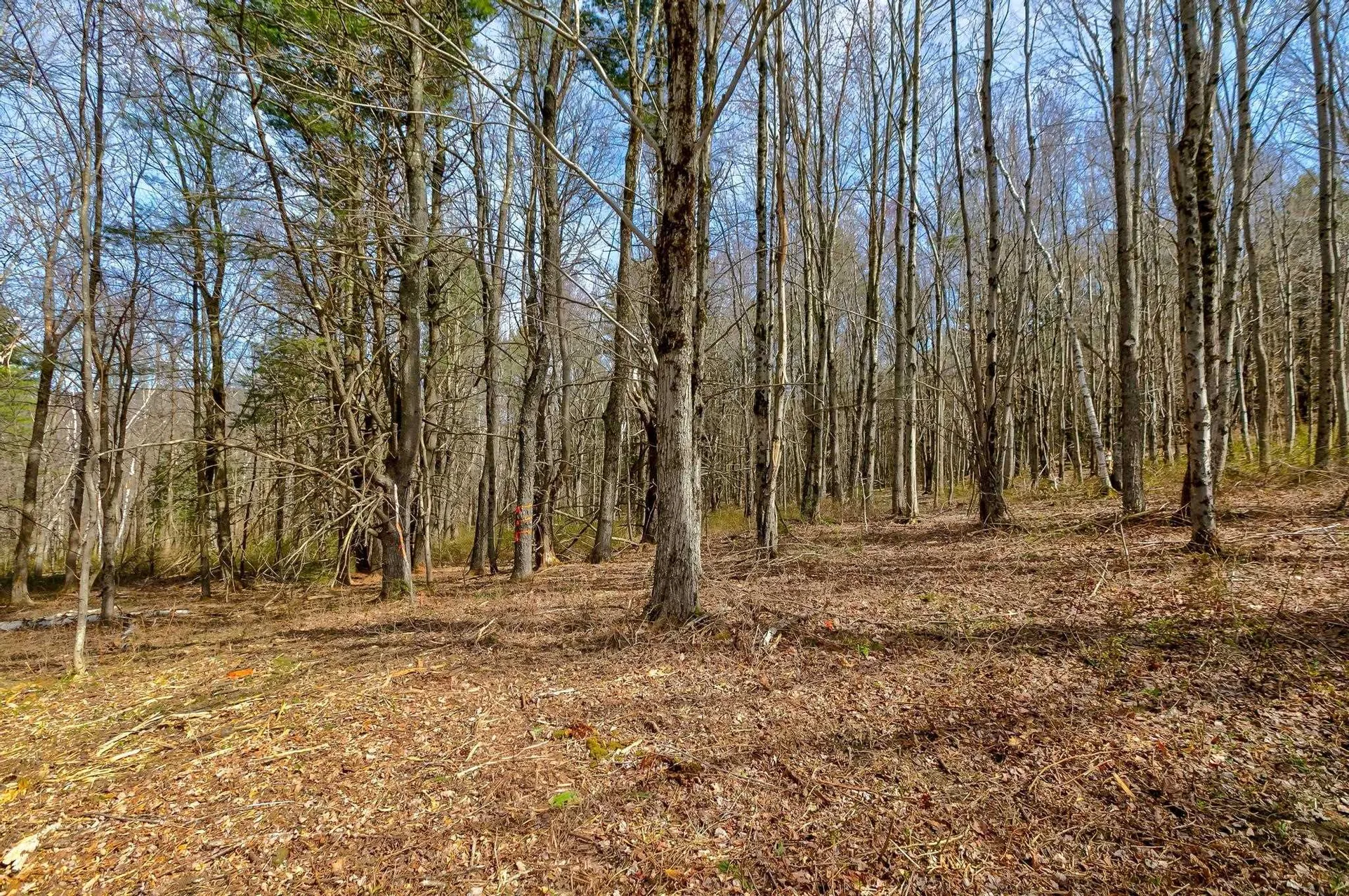 21/33 Wild Acres Road Gilford NH 03249