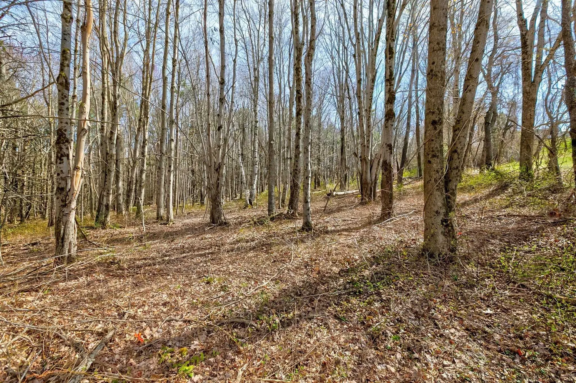 21/33 Wild Acres Road Gilford NH 03249