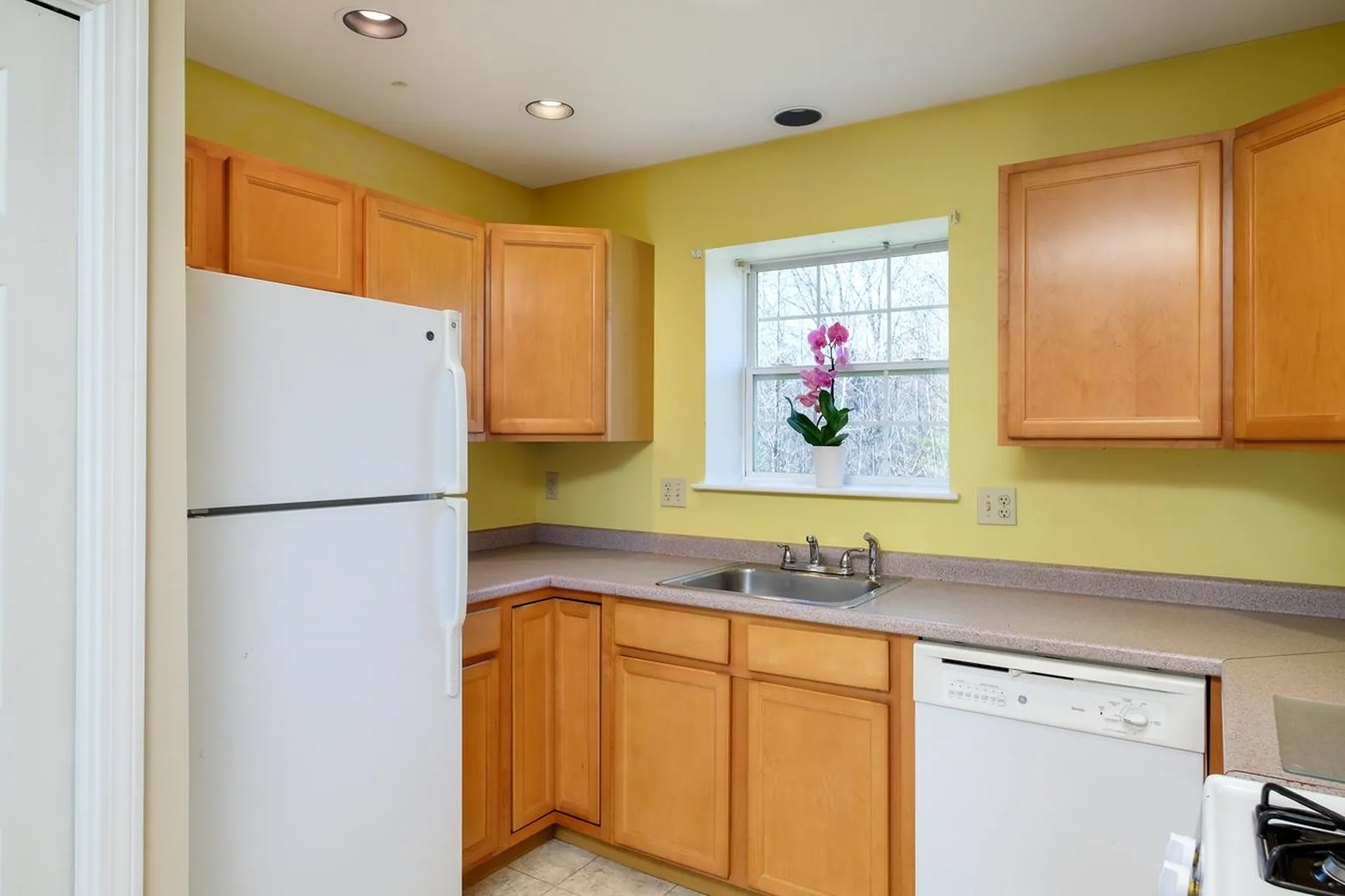 3 Tampa Drive Rochester NH 03867