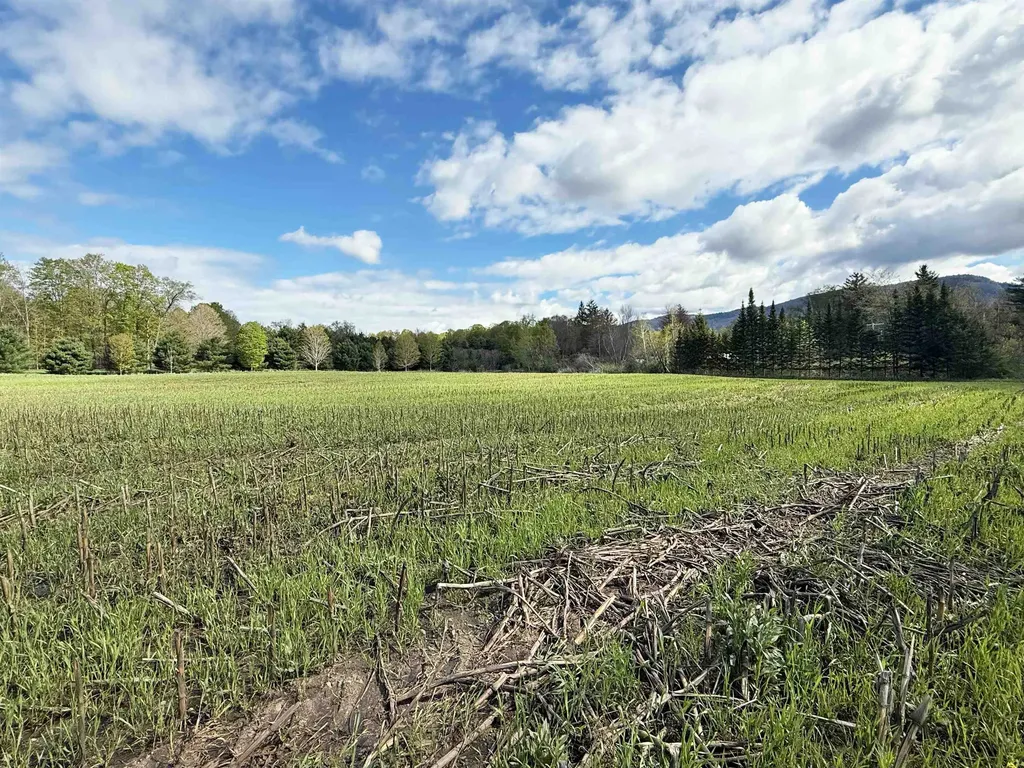 Tbd Hewitt Road Bristol VT 05443