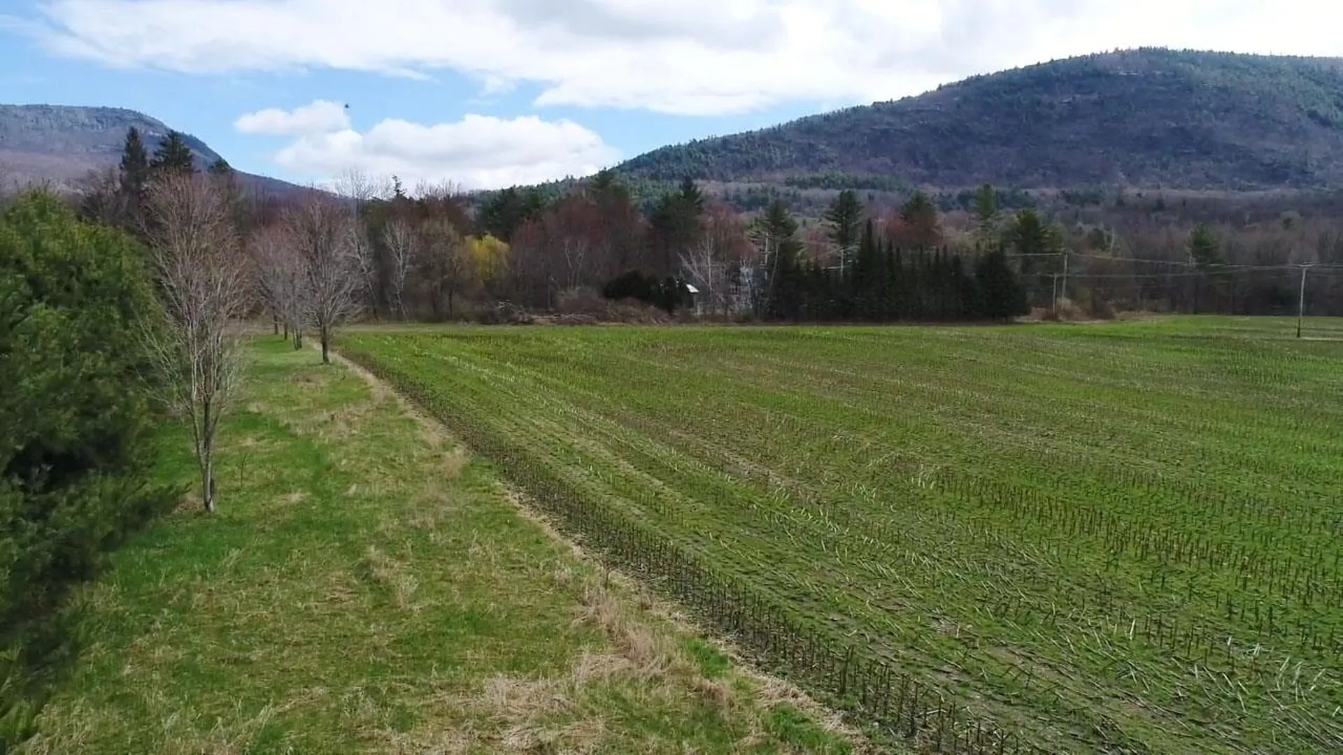Tbd Hewitt Road Bristol VT 05443