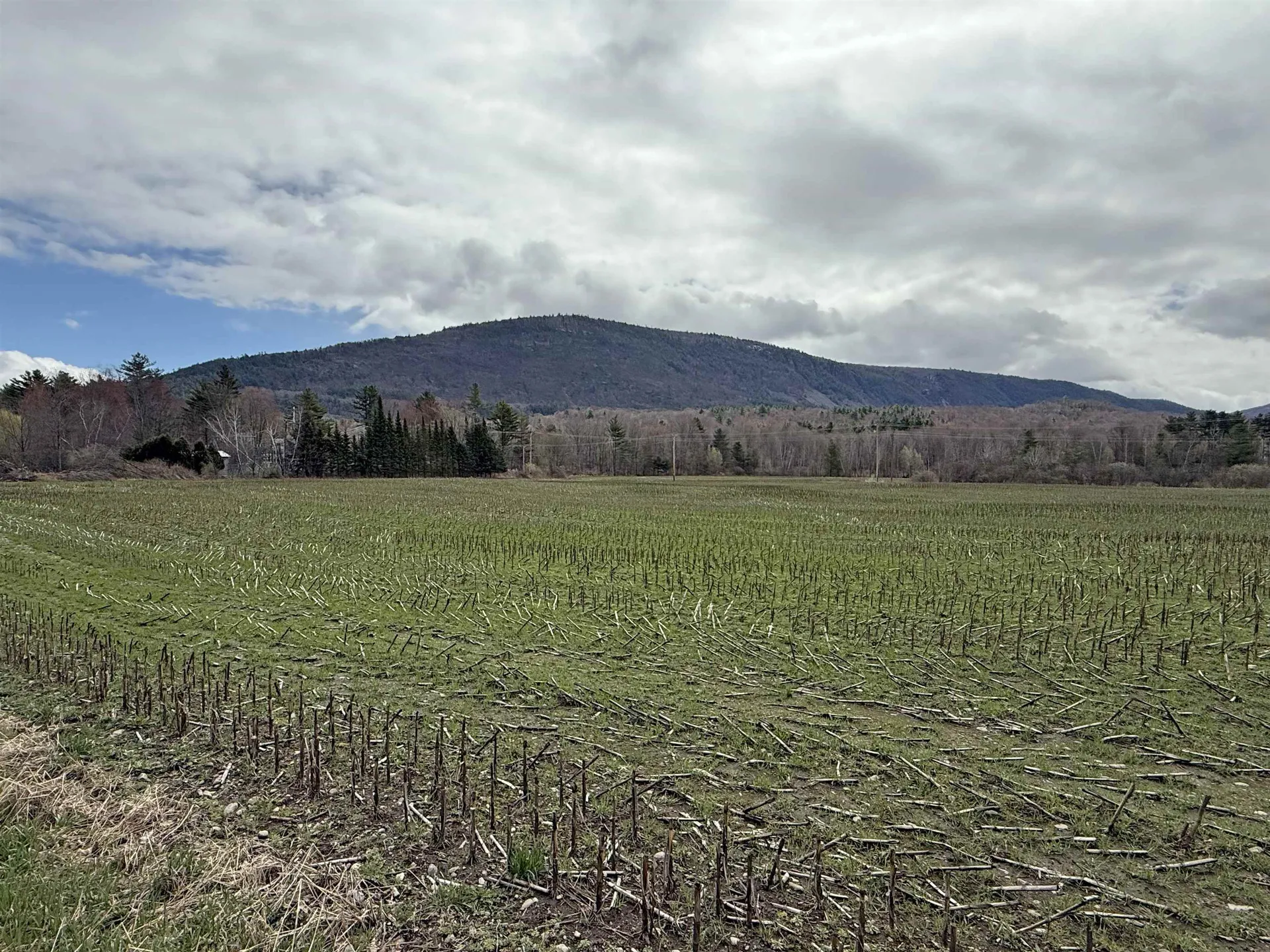 Tbd Hewitt Road Bristol VT 05443