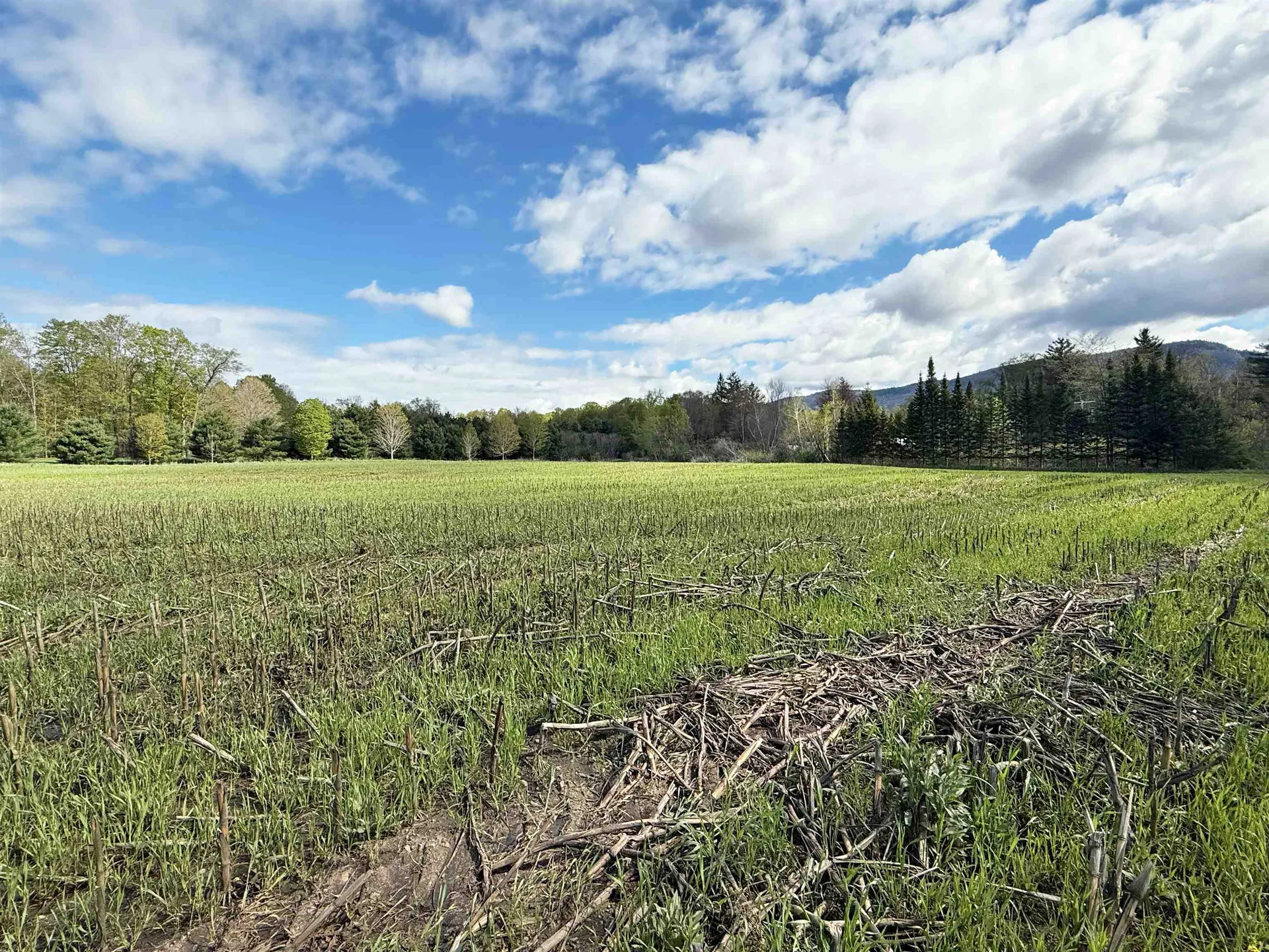Tbd Hewitt Road Bristol VT 05443