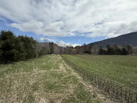 Tbd Hewitt Road Bristol VT 05443