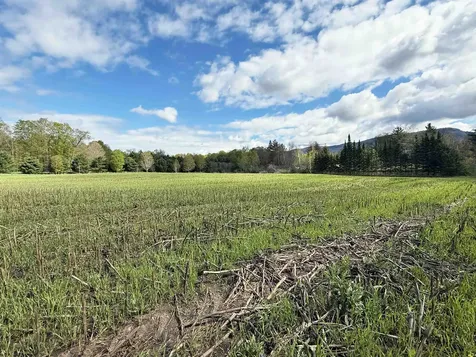 Tbd Hewitt Road Bristol VT 05443