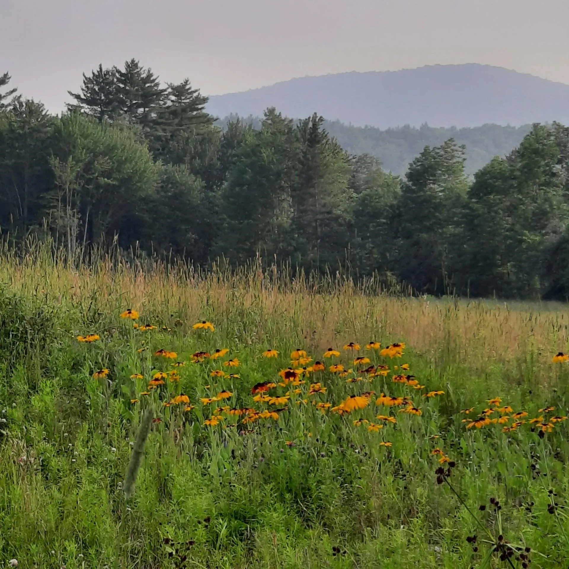 321 Center District Road Sugar Hill NH 03586